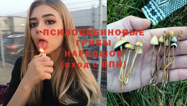 а пвп мука Ростов