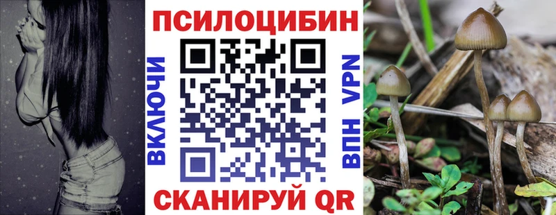 гидра ссылка наркошоп Зерноград Галлюциногенные грибы ЛСД