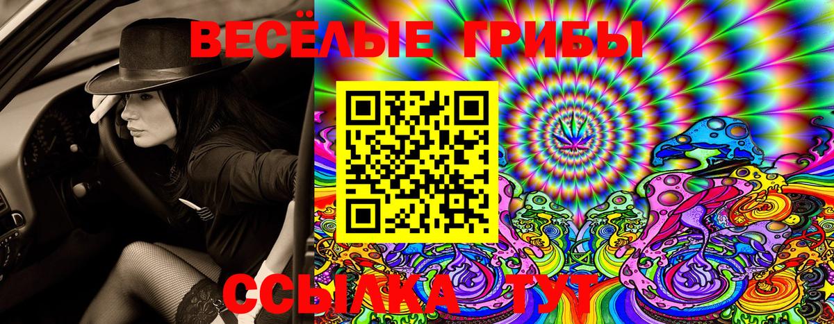 Зерноград  Псилоцибиновые грибы Psilocybine cubensis  Вход с VPN 